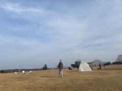 -紫金山山顶公园