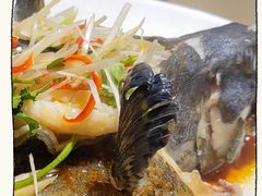 石斑鱼-京深海鲜市场(光彩路店)