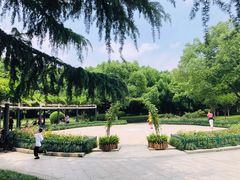 -大关公园