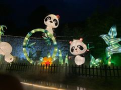 -大塘金香草谷