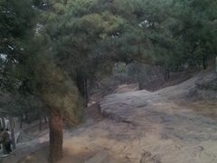 -北京鹫峰国家森林公园