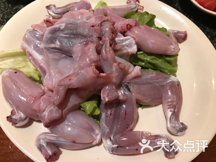 重庆高老九火锅(静安寺店)牛蛙图片 - 第208张