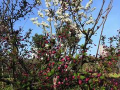 -中共上海市委党校 上海行政学院