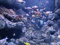 -成都浩海立方海洋公园