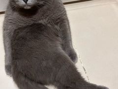 -pd派德宠物中心医院24H急重症·眼科中心·血液透析中心(嵩山北路店)