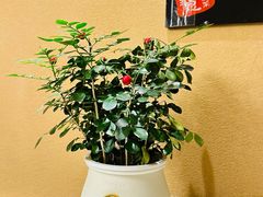 -小慧住家贵州菜(甲秀楼店)