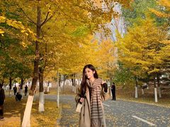 -长白岛森林公园