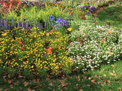 -上海共青森林公园