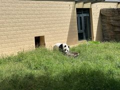 -石家庄市动物园