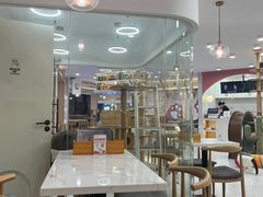 -喵园·猫主题咖啡厅·撸猫·猫咖(国贸店)