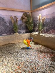-造物庄园 萌宠纪(苏州湾歌林公园店)
