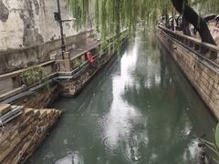 -乾芝斋·苏式糕点·碧螺春茶酥(平江路店)
