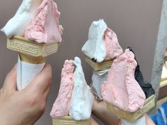 -柠檬车露(卖草地店)