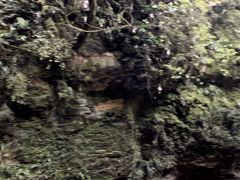 -怀托摩萤火虫洞