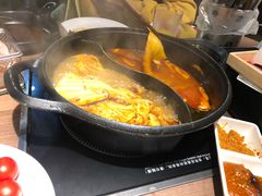 -火炉火自助餐(枫蓝国际店)