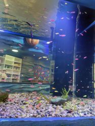 -酷嗒动物文化乐园(cutezoo西溪乐天城店)