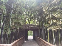 -天一阁博物院