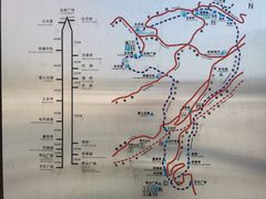 -铁山坪森林公园