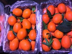 -菜园坝水果市场