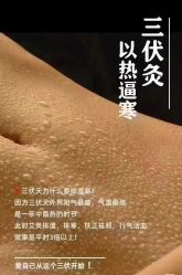 点击看大图 -YESIDO椰岛美容