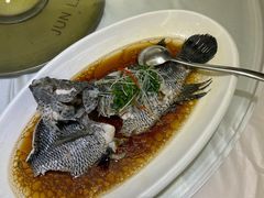 -骏莱海鲜鱼港(五角场店)