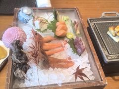 -月龍吟(朝龙汇店)