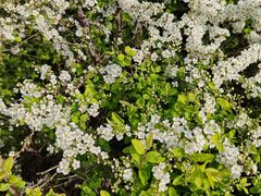 -白塘生态植物园