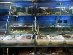 -福建美食城(老君堂店)