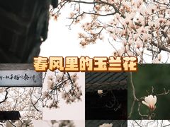 -梅园