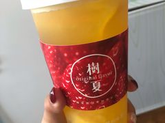 -树夏(金楠天街店)
