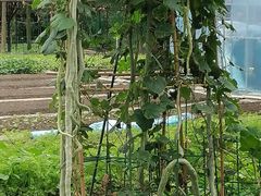 -洪湖家庭农场·团建·露营·会议