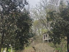 -波尔登森林公园