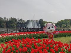 -上海鲜花港
