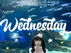 -海合安武汉极地海洋公园