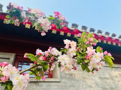 -点绛唇(鼓楼店)