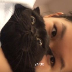 -飛凡TATTOO纹身•原创