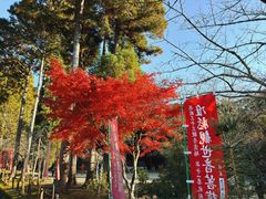 -醍醐寺