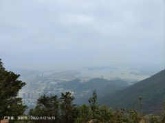 -梧桐山风景名胜区