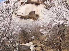 -北京凤凰岭