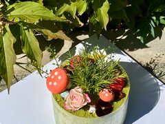 -5Cake五度无蔗糖低脂蛋糕(陶然亭店)
