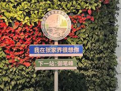 -张家界荷花国际机场