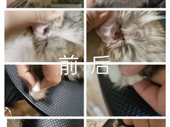 -听TA说宠咖·宠物生活馆(天韵水岸店)