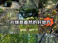 -同里国家湿地公园