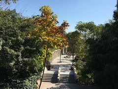 -石老人观光园