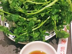 -春秋火锅