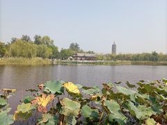 -西海子公园