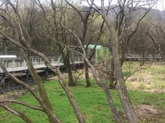 -西湖风景区-江洋畈生态公园