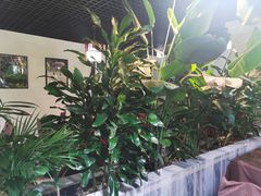 -滇之味菌王府(福建路店)