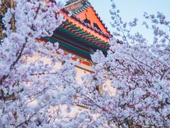 -鸡鸣寺