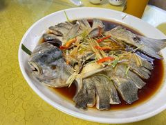 -煲来饱去冷水鱼